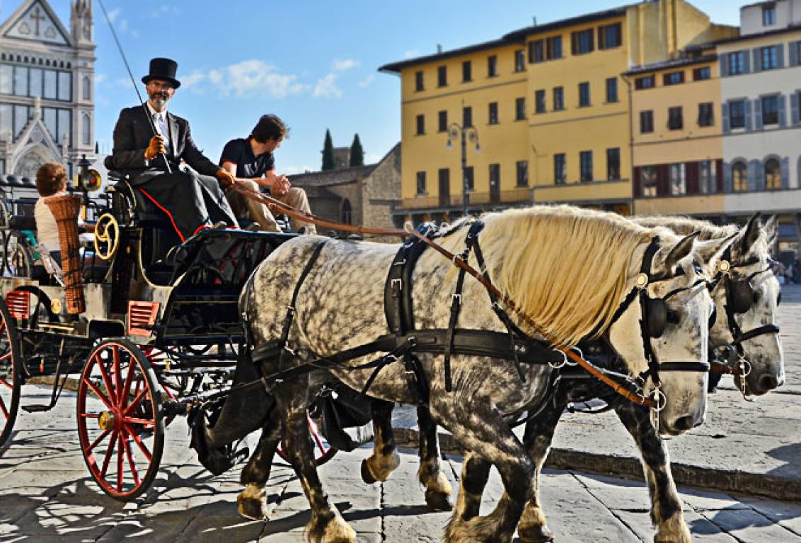 horse and carriage tours