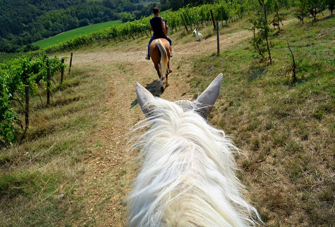 horseback riding tours in tuscany