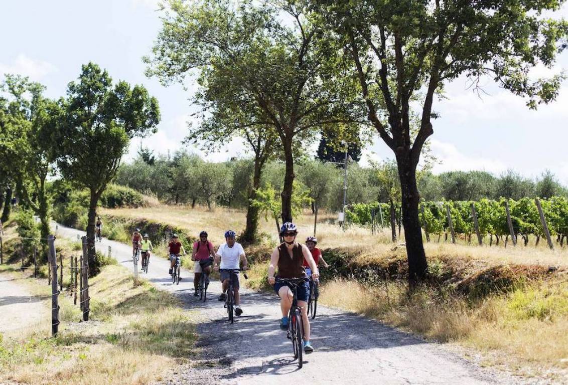 Tuscany bike tour the ultimate wine olive oil tour by bike
